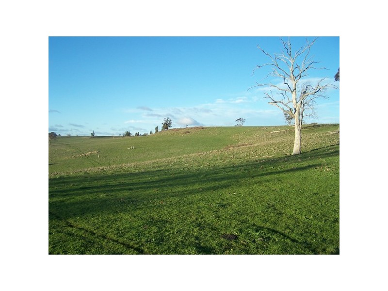 1831 Taralga Road, Tarlo NSW 2580