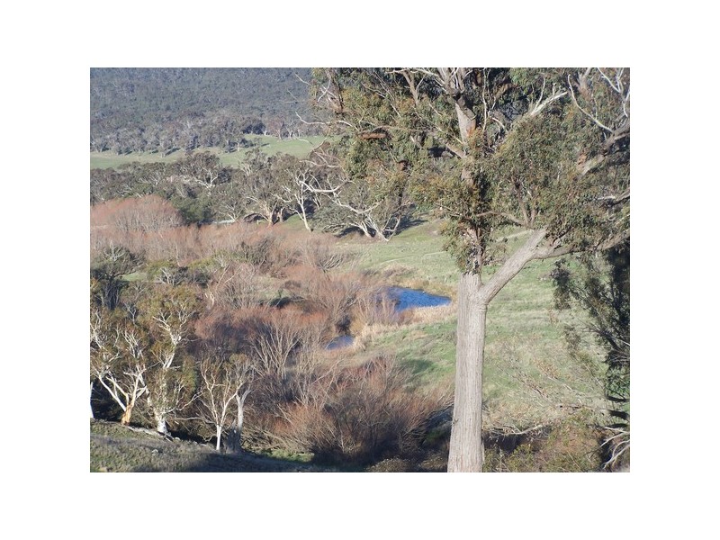 1831 Taralga Road, Tarlo NSW 2580