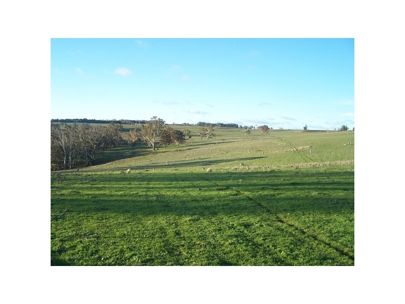 1831 Taralga Road, Tarlo NSW 2580