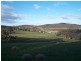 1831 Taralga Road, Tarlo NSW 2580