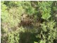 698 Newfoundland Road, Taralga NSW 2580