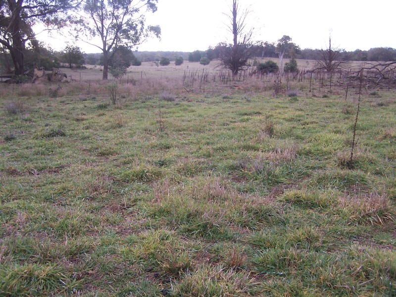 833 Jerrara Road, Marulan NSW 2579