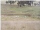 Lot 2 Pejar Road, Crookwell NSW 2583