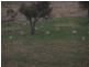 Lot 2 Pejar Road, Crookwell NSW 2583