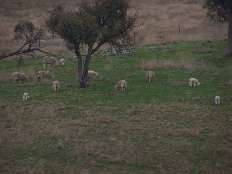 Lot 2 Pejar Road, Crookwell NSW 2583