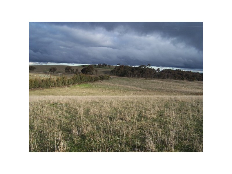 Lot 4 Pejar Road, Crookwell NSW 2583