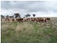 Lot 3 Pejar Road, Crookwell NSW 2583