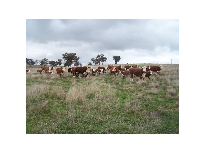 Lot 3 Pejar Road, Crookwell NSW 2583