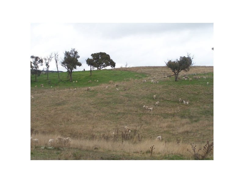 Lot 3 Pejar Road, Crookwell NSW 2583