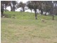 Lot 3 Pejar Road, Crookwell NSW 2583