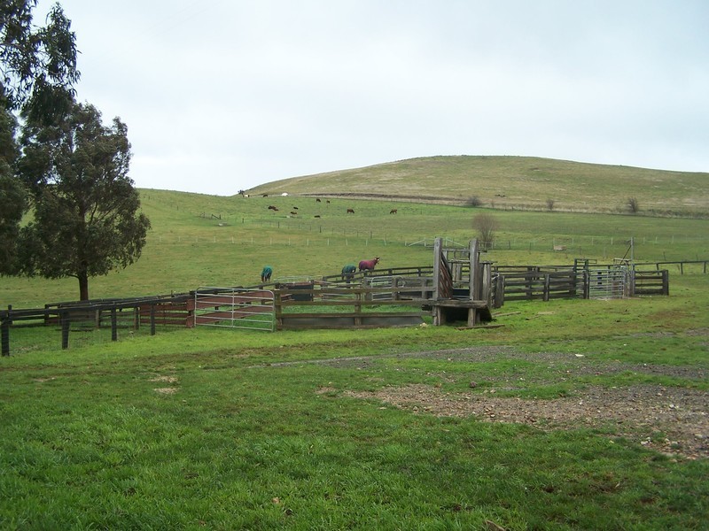 4988 Richlands Road, Taralga NSW 2580