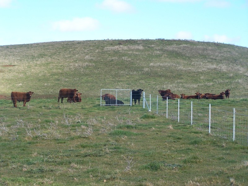 Lot 1 Richlands Road, Taralga NSW 2580