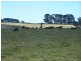 Lot 1 Richlands Road, Taralga NSW 2580