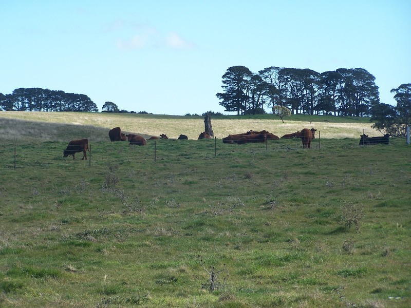 Lot 1 Richlands Road, Taralga NSW 2580