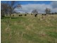 1215 Off Woodville Road, Binda NSW 2583