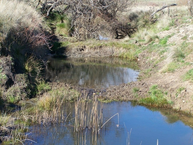 1215 Off Woodville Road, Binda NSW 2583