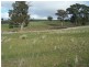 1215 Off Woodville Road, Binda NSW 2583