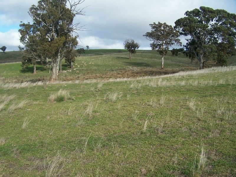 1215 Off Woodville Road, Binda NSW 2583