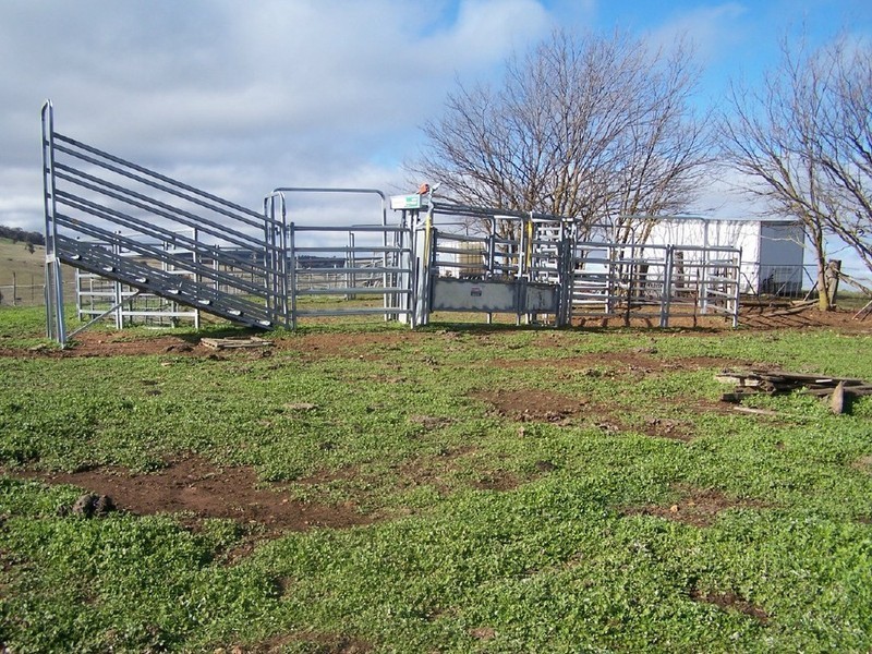 1215 Off Woodville Road, Binda NSW 2583