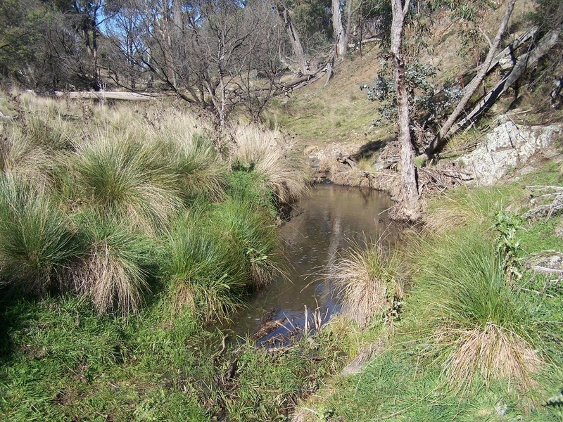 1215 Off Woodville Road, Binda NSW 2583