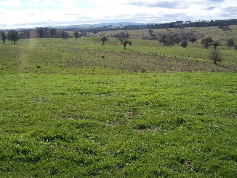 1215 Off Woodville Road, Binda NSW 2583