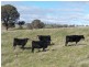 1215 Off Woodville Road, Binda NSW 2583
