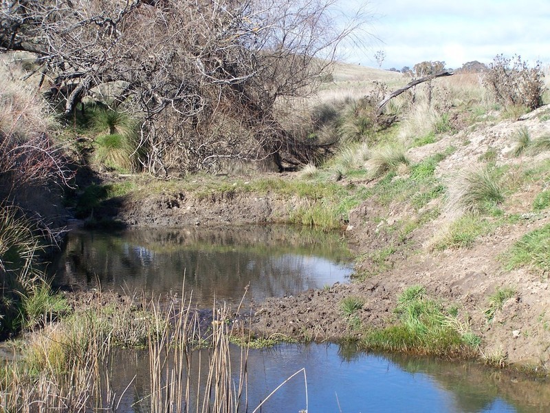 1215 Off Woodville Road, Binda NSW 2583