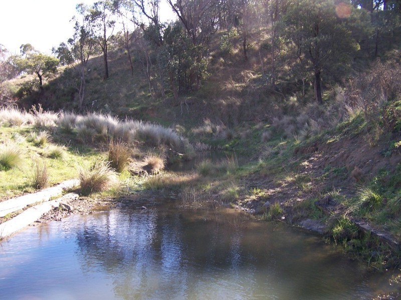 1215 Off Woodville Road, Binda NSW 2583