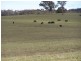 Lot 8 Bannaby Road, Bannaby NSW 2580