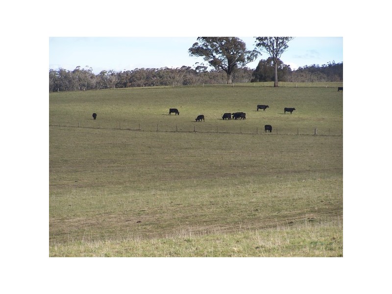Lot 8 Bannaby Road, Bannaby NSW 2580