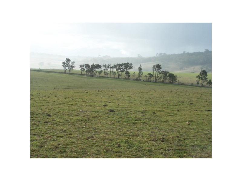 Lot 8 Bannaby Road, Bannaby NSW 2580