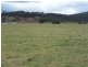 Lot 7 Bannaby Road, Bannaby NSW 2580