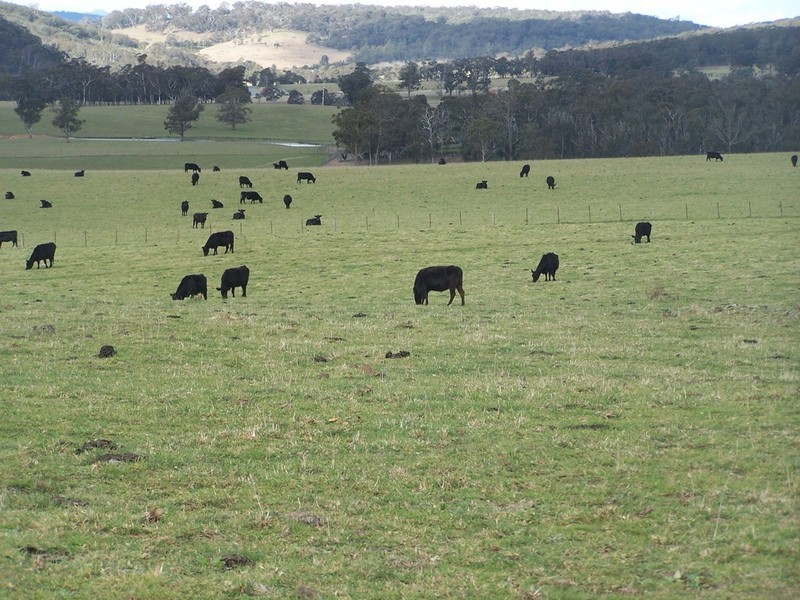 Lot 7 Bannaby Road, Bannaby NSW 2580