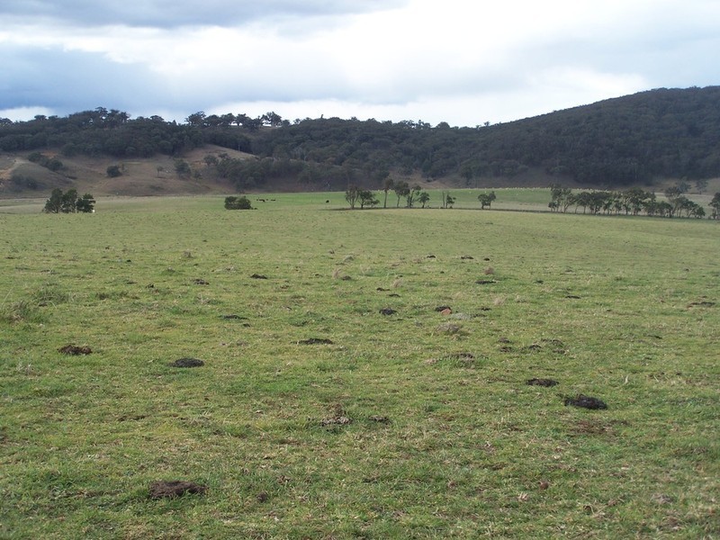 Lot 7 Bannaby Road, Bannaby NSW 2580