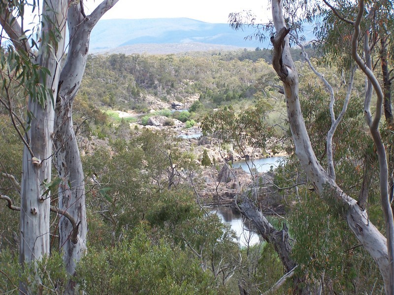Lots 255 & 308 Glenmore Road, Braidwood NSW 2622