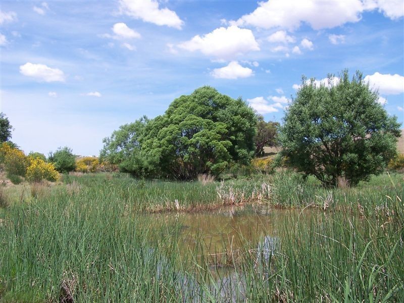 Lot 1 Glenmore Road, Braidwood NSW 2622