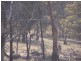 86 McGaws Road, Windellama NSW 2580
