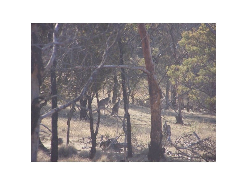 86 McGaws Road, Windellama NSW 2580