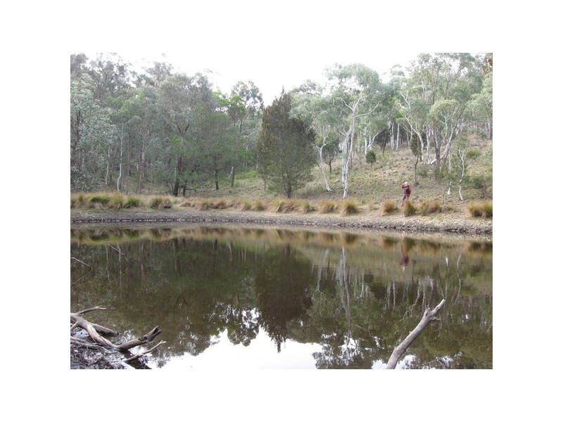 1128 Mountain Ash Road, Goulburn NSW 2580