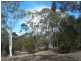 1128 Mountain Ash Road, Goulburn NSW 2580