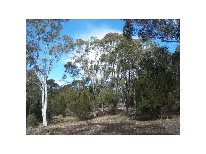 1128 Mountain Ash Road, Goulburn NSW 2580