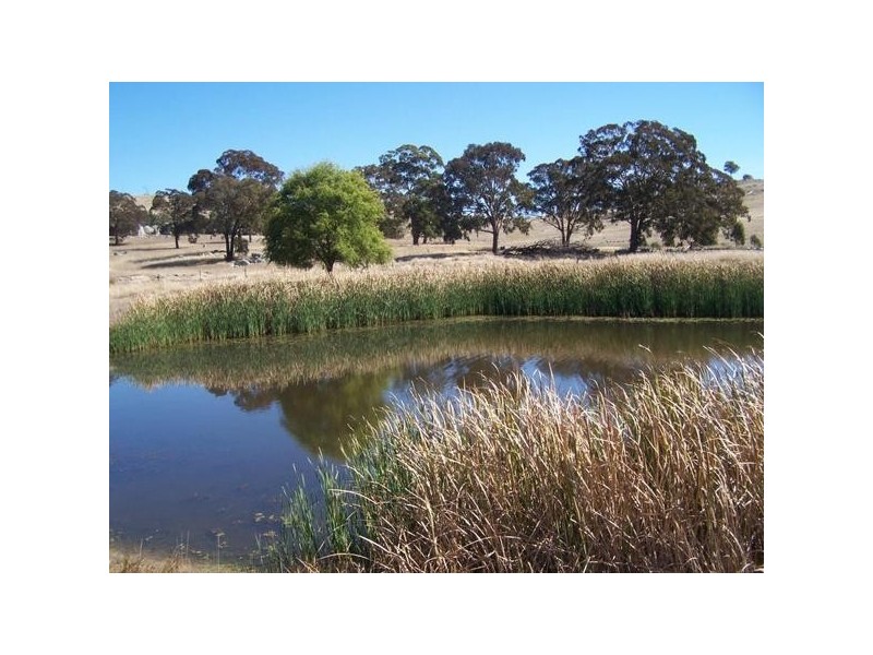 1590 “The Towers” Collector Road, Gunning NSW 2581