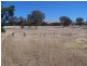 1590 “The Towers” Collector Road, Gunning NSW 2581