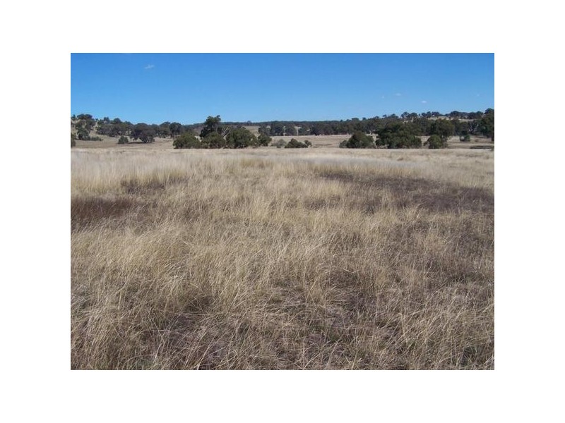 1590 “The Towers” Collector Road, Gunning NSW 2581