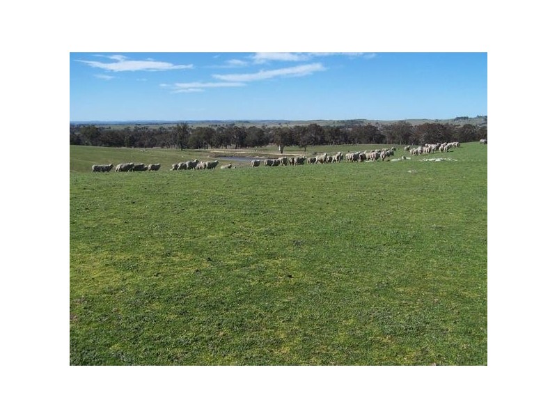 1592 Gunning Road, Collector NSW 2581