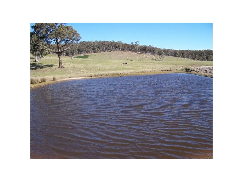 1592 Gunning Road, Collector NSW 2581