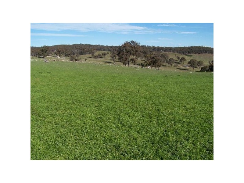 1592 Gunning Road, Collector NSW 2581