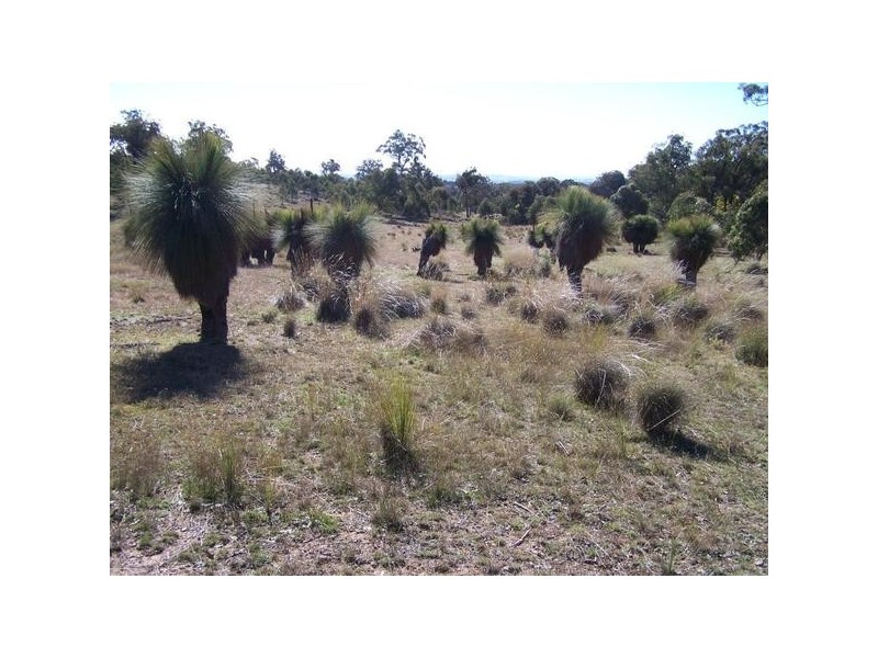 1592 Gunning Road, Collector NSW 2581