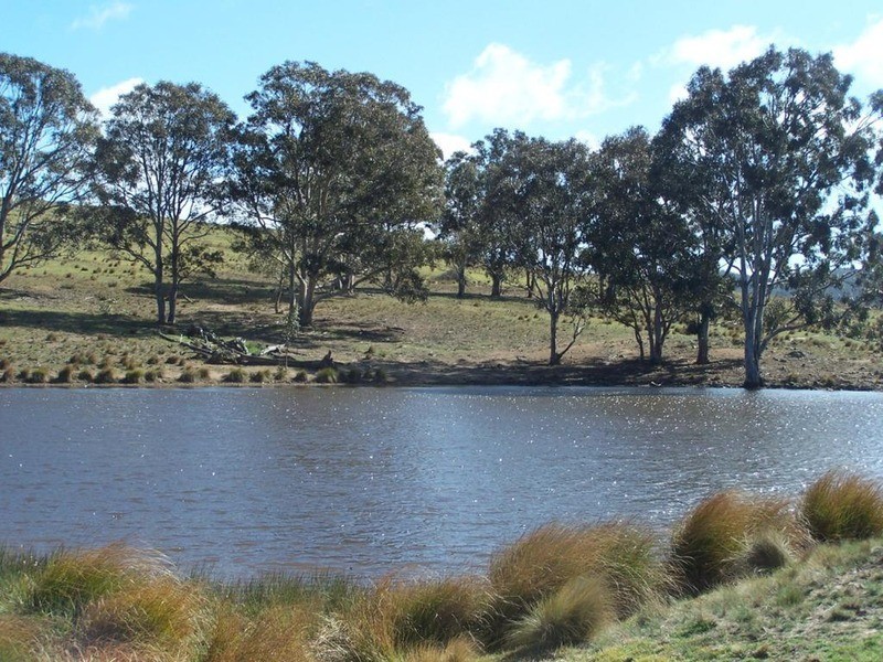 Lot 8 Longview Road, Marulan NSW 2579
