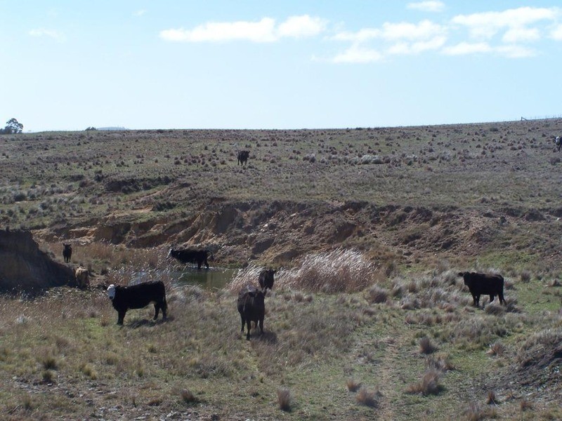 Lot 8 Longview Road, Marulan NSW 2579